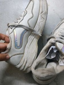 Sneaker Shoes