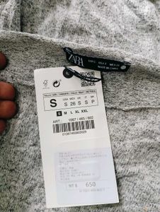 ZARA New With Tag Baggy Top