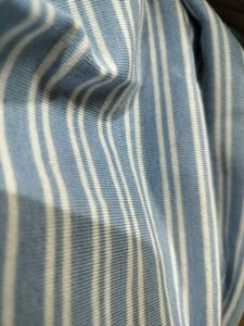 Blue Striped Shirt