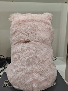 Pink Teddy Bear