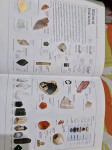 Visual Dictionary