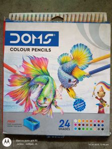 DOMS Colour Pencils - 24 Shades