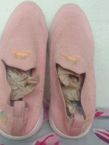 dollphin shoes