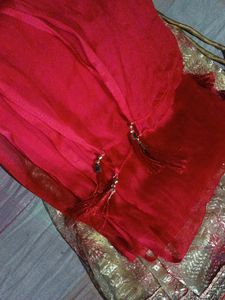 A Beautiful Lehnga Choli 👀😍🥰