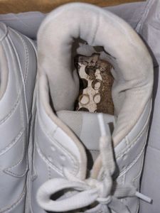 White Low Sneakers Nike COPY