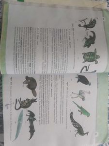 NCERT Class 11 BIOLOGY book (COVERED)