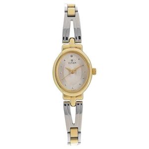 Titan Quartz Analog Silver Dial Two Toned Stainles