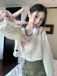 Crochet Cutout Long Sleeve Top