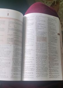 Cambridge English Pronunciation Dictionary