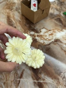 Daisy Flower Scented Candle Pack Of 3
