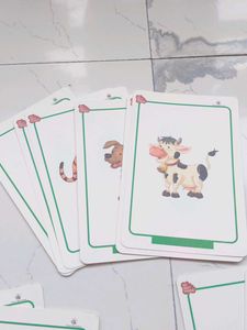 Flash Cards