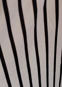 Black And White Striped Shrug