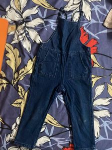 Cute Denim Zara Overalls