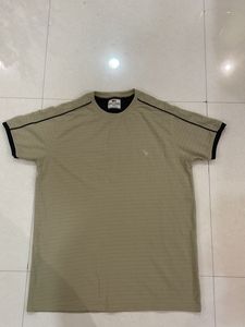Combo of 3 T-shirts