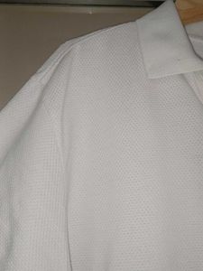 Premium Knitted Polo Neck Tshirt