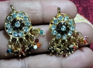Earrings Any One Of These