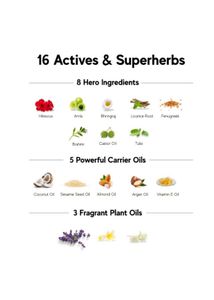 Inde Wild Champi Hair Oil