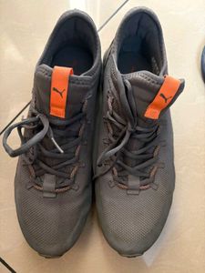 Puma Man Shoes