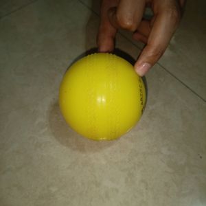 ARRZOO RUBBERS RICKY Wind Ball Cricket Training
