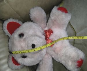 Teddy Bear Medium Size