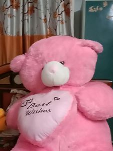 Teddy Bear