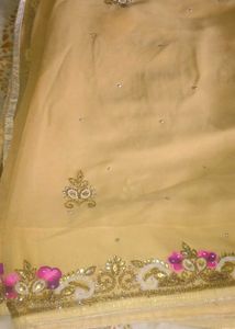 Elegant Embellished Saree