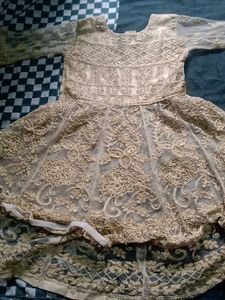 Elegant Ethnic Gown