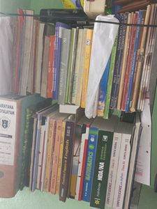 Vistas Flamingo Class 12th English Textbooks