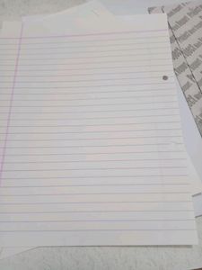 A4 Size Paper/ Project File / Butter Paper/ Bag