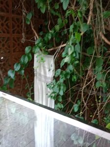 Ivory Pleated Maxi Dress