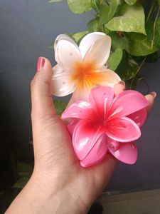 Cute Pinteresty Flower Hair Clips - Set of 2