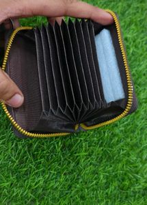 Brown Accordian Card Holder