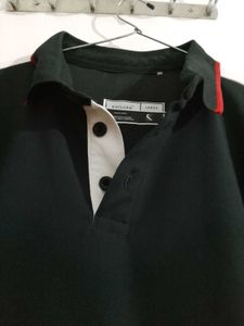 Striped Trim Polo Shirt
