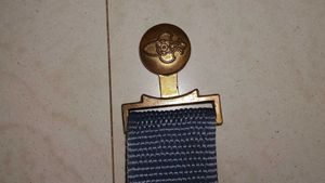 Belt