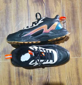 Men Shoes
