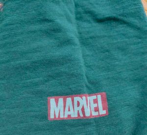 Hulk Graphic Tee (Men/Women)