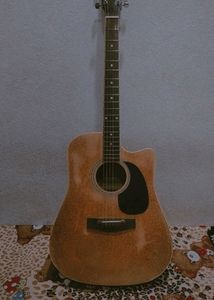 Guitar In Working Condition