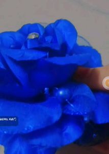 Beautiful Big Flower Hair Clip