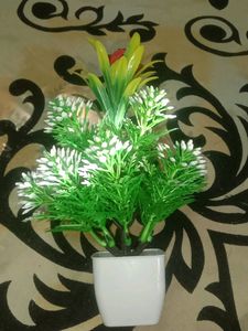 Flower Pots
