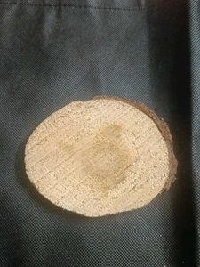 Painting On Wood