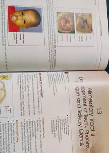 Human Embryology Textbook