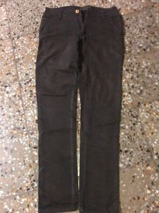 coffee brown Casual Pants