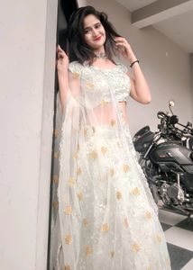 Shinning Lehenga Choli