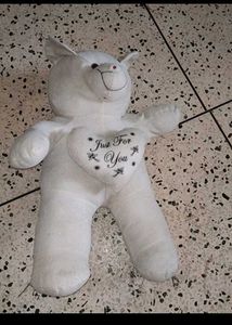 White Plush Bear - 'Just For You'