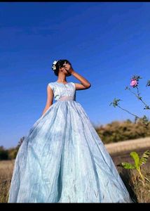 Cindrella Inspired Gown 💫