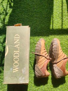 Woodland Casual Shoes Tan Color Size 9