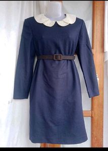 Chic Navy Peter Pan Collar Dress