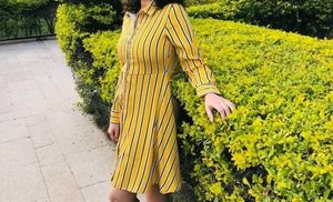 Striped Shirt Dress