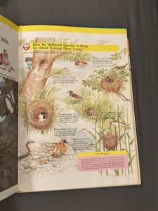 Child&#39;s First Learning Library