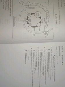 Ielts Book Academic 14